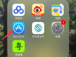 美国短信接收平台有哪些软件下载的的简单介绍