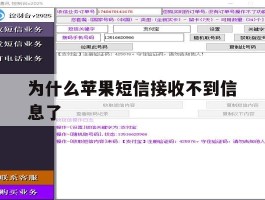 为什么苹果短信接收不到信息了