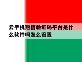 云手机短信验证码平台是什么软件啊怎么设置