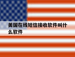 美国在线短信接收软件叫什么软件