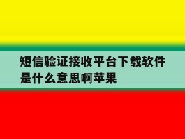 短信验证接收平台下载软件是什么意思啊苹果