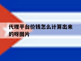 包含代理平台价钱怎么计算出来的呀图片的词条