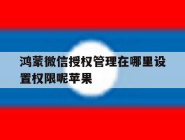 鸿蒙微信授权管理在哪里设置权限呢苹果的简单介绍