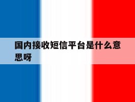 国内接收短信平台是什么意思呀