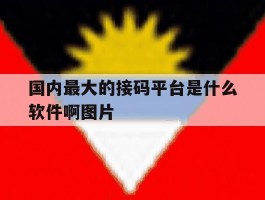 国内最大的接码平台是什么软件啊图片的简单介绍