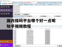 国内接码平台哪个好一点呢知乎视频教程