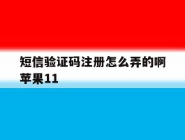 短信验证码注册怎么弄的啊苹果11