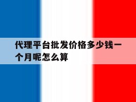 代理平台批发价格多少钱一个月呢怎么算