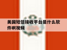 美国短信接收平台是什么软件啊视频