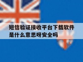 包含短信验证接收平台下载软件是什么意思呀安全吗的词条