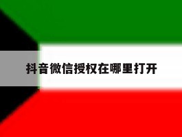 抖音微信授权在哪里打开