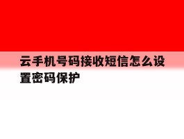 云手机号码接收短信怎么设置密码保护