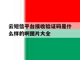 云短信平台接收验证码是什么样的啊图片大全的简单介绍