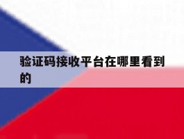 验证码接收平台在哪里看到的
