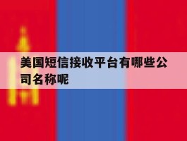 美国短信接收平台有哪些公司名称呢