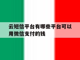 云短信平台有哪些平台可以用微信支付的钱的简单介绍