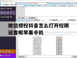 微信授权抖音怎么打开权限设置呢苹果手机的简单介绍