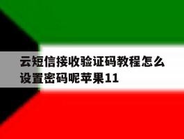 云短信接收验证码教程怎么设置密码呢苹果11的简单介绍