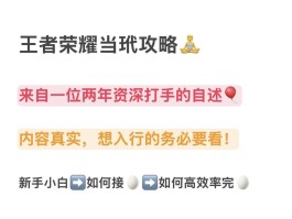 好的王者接单平台是什么意思啊
