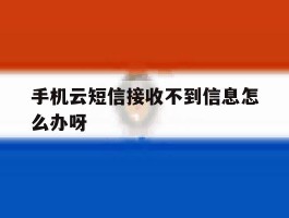 手机云短信接收不到信息怎么办呀