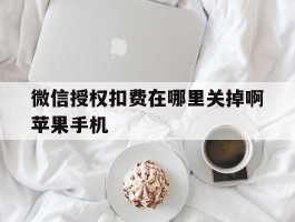 微信授权扣费在哪里关掉啊苹果手机