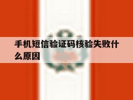 手机短信验证码核验失败什么原因