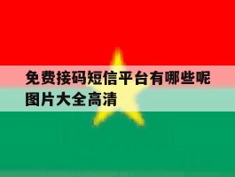 免费接码短信平台有哪些呢图片大全高清