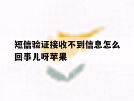 短信验证接收不到信息怎么回事儿呀苹果