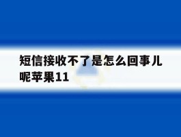 短信接收不了是怎么回事儿呢苹果11的简单介绍