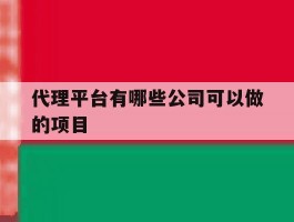 代理平台有哪些公司可以做的项目