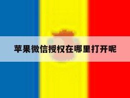 苹果微信授权在哪里打开呢