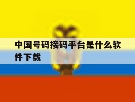 中国号码接码平台是什么软件下载