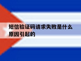 短信验证码请求失败是什么原因引起的