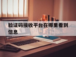 验证码接收平台在哪里看到信息