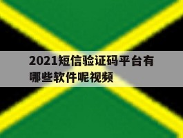 2021短信验证码平台有哪些软件呢视频