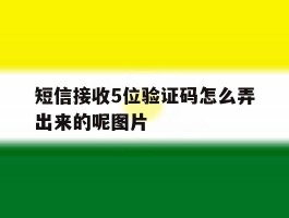 短信接收5位验证码怎么弄出来的呢图片