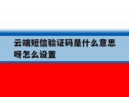 云端短信验证码是什么意思呀怎么设置
