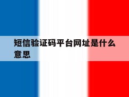 短信验证码平台网址是什么意思