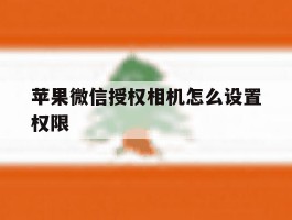 苹果微信授权相机怎么设置权限