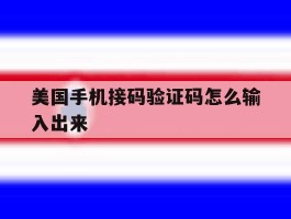美国手机接码验证码怎么输入出来