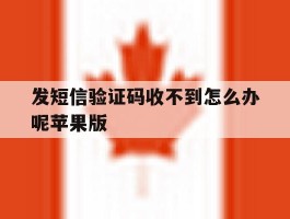 发短信验证码收不到怎么办呢苹果版