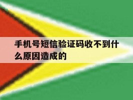 手机号短信验证码收不到什么原因造成的