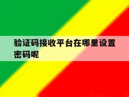 验证码接收平台在哪里设置密码呢