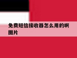 免费短信接收器怎么用的啊图片