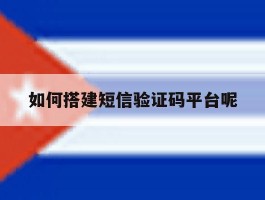 如何搭建短信验证码平台呢