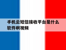 手机云短信接收平台是什么软件啊视频
