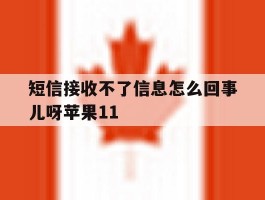 短信接收不了信息怎么回事儿呀苹果11的简单介绍