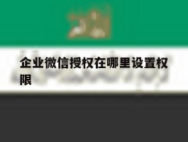 企业微信授权在哪里设置权限