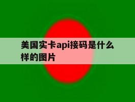 美国实卡api接码是什么样的图片