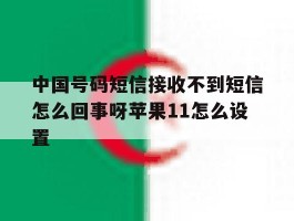 中国号码短信接收不到短信怎么回事呀苹果11怎么设置的简单介绍